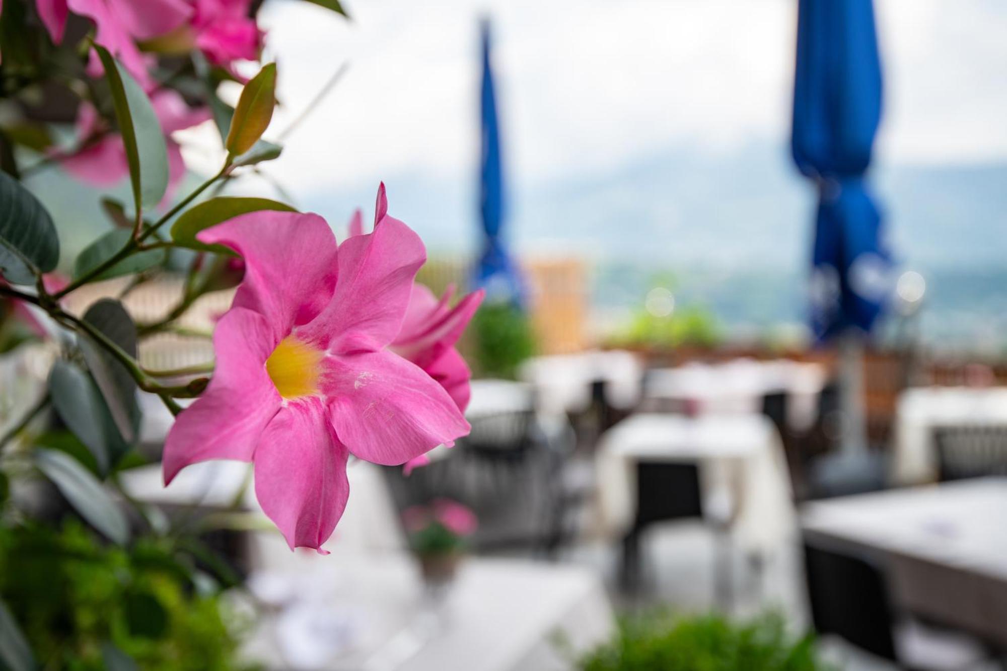 Hotel Residence Mavie Лагундо Экстерьер фото